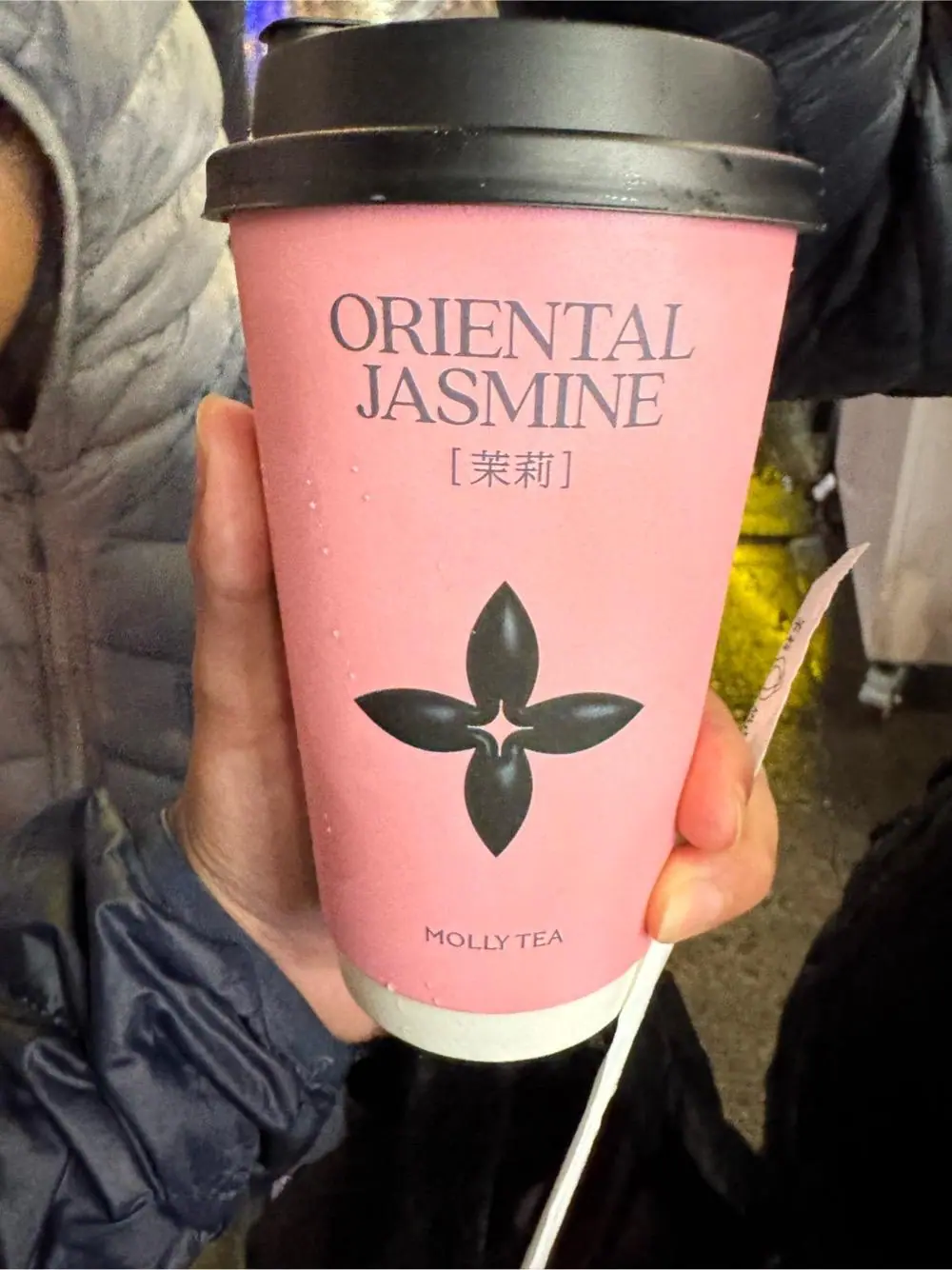 Premium jasmine milk tea at Molly Tea (Manhattan Chinatown)